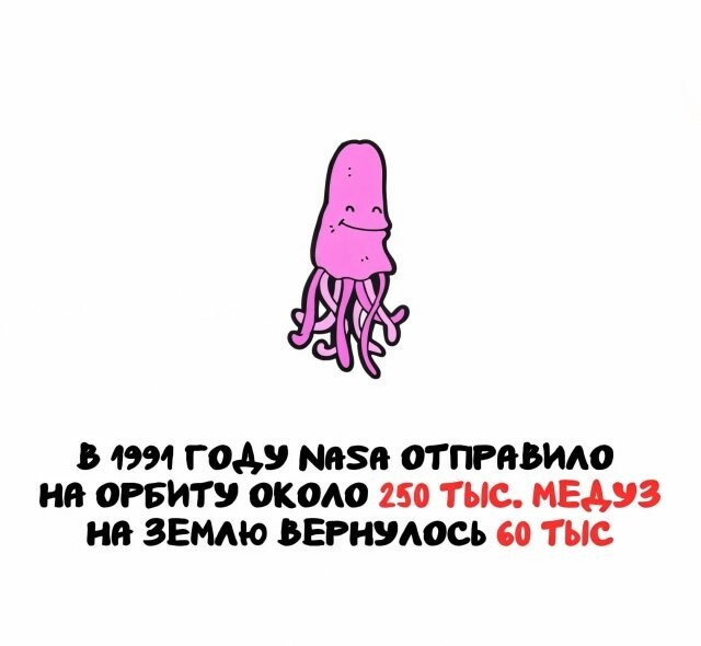 А вдруг ты не знал…