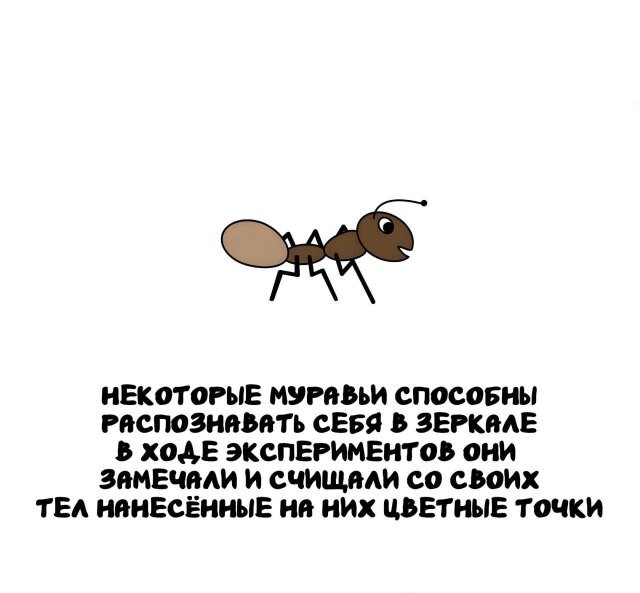 А вдруг ты не знал…