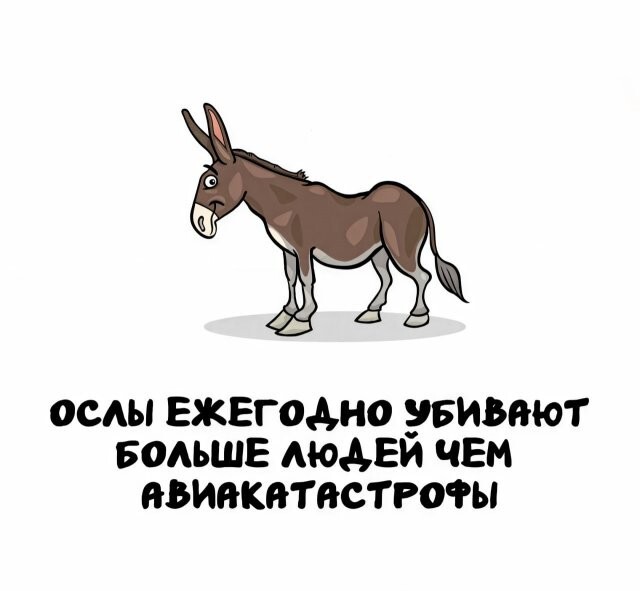 А вдруг ты не знал…