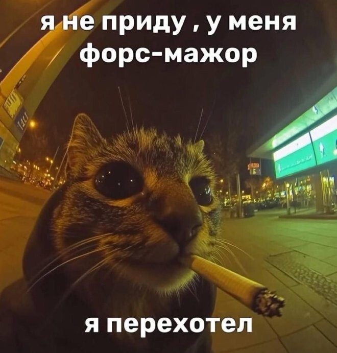 Не ищите здесь смысл. Здесь в основном маразм
