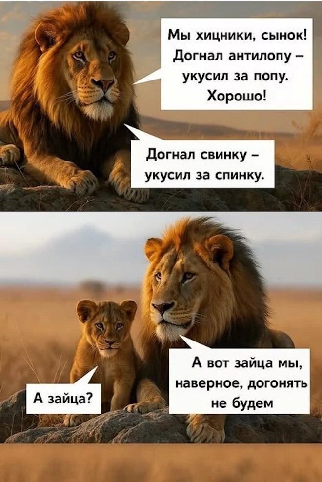 Не ищите здесь смысл. Здесь в основном маразм