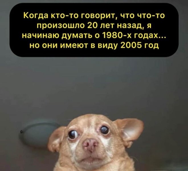 Не ищите здесь смысл. Здесь в основном маразм
