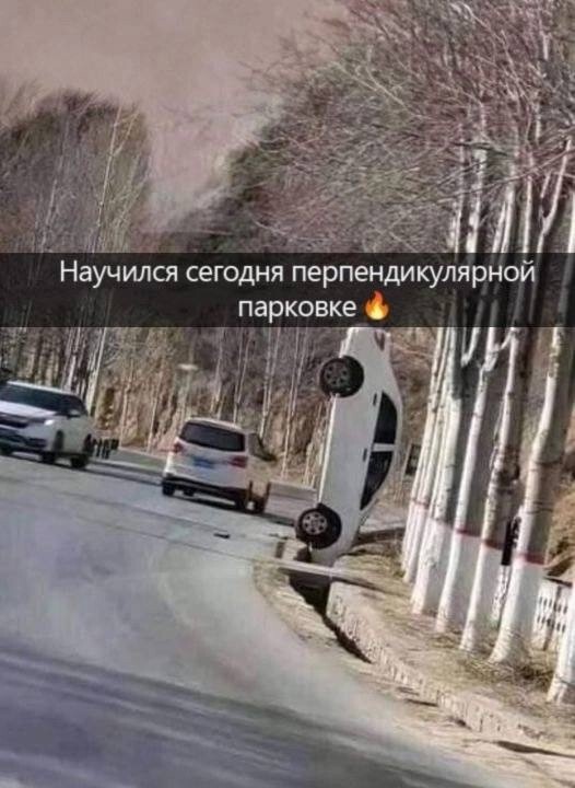Большая тарелка улыбатора