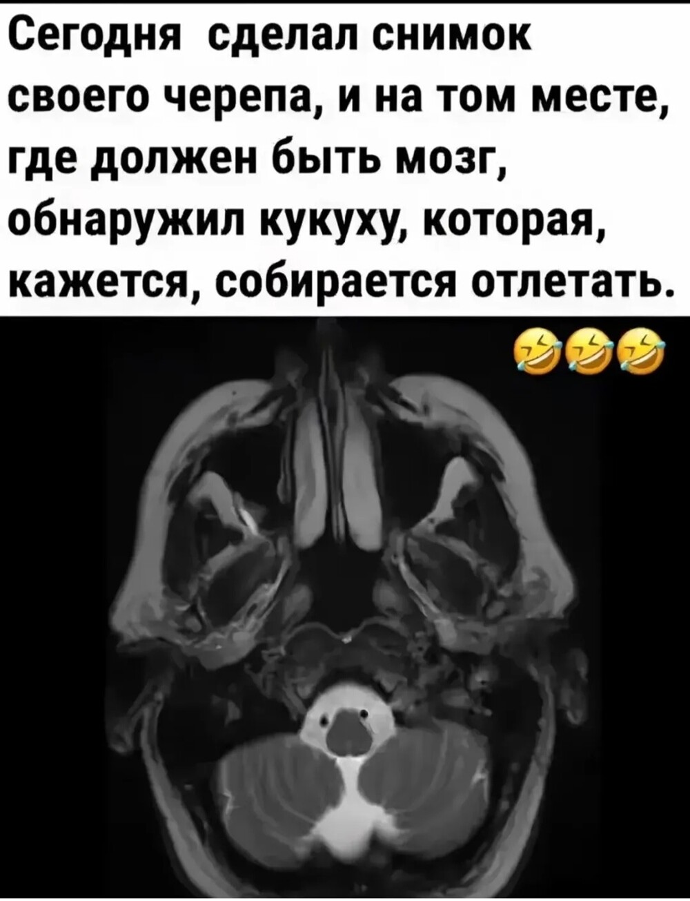 Большая тарелка улыбатора