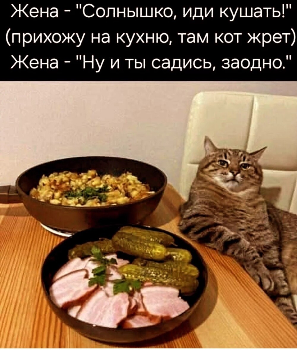 Большая тарелка улыбатора