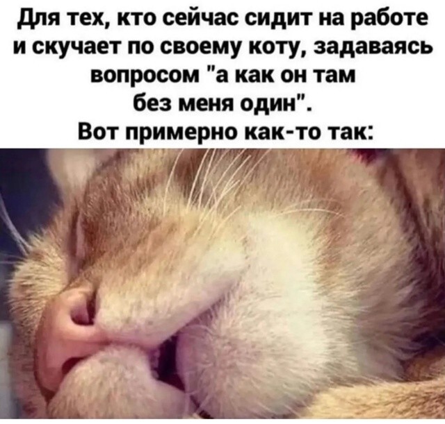 Большая тарелка улыбатора