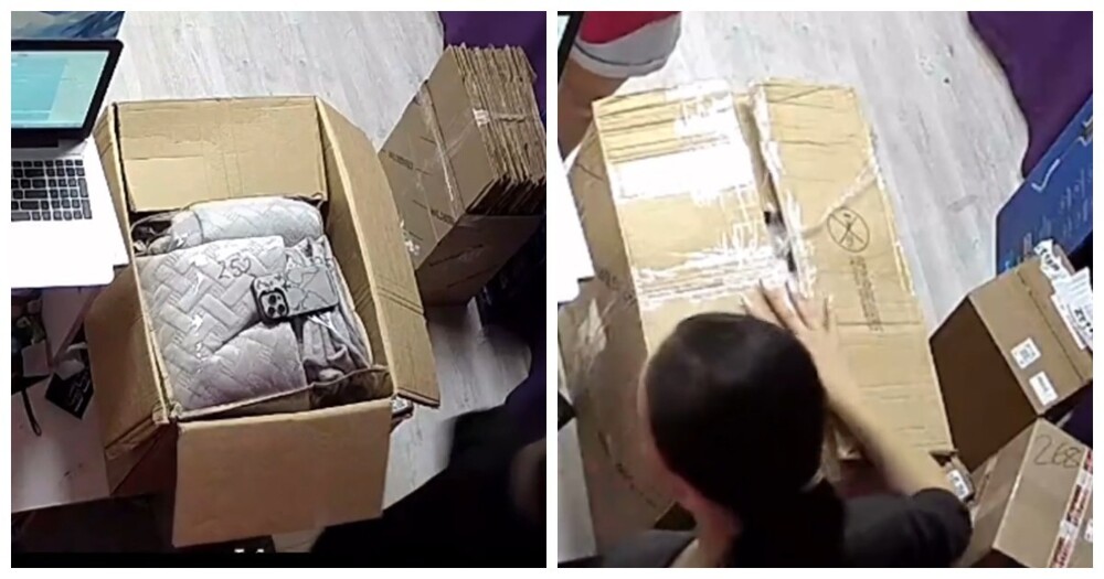Менеджер ПВЗ упаковала возвраты клиентов и случайно оставила свой телефон в одной из коробок