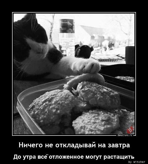 Демотиваторы для всех 