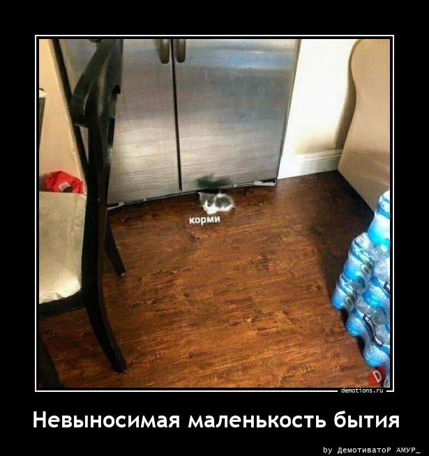Демотиваторы для всех 