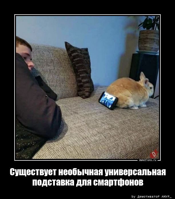 Демотиваторы для всех 