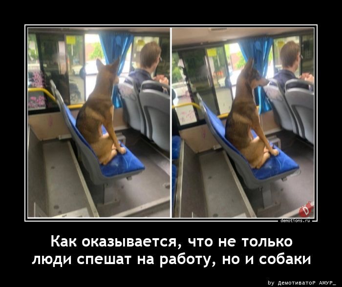 Демотиваторы для всех 
