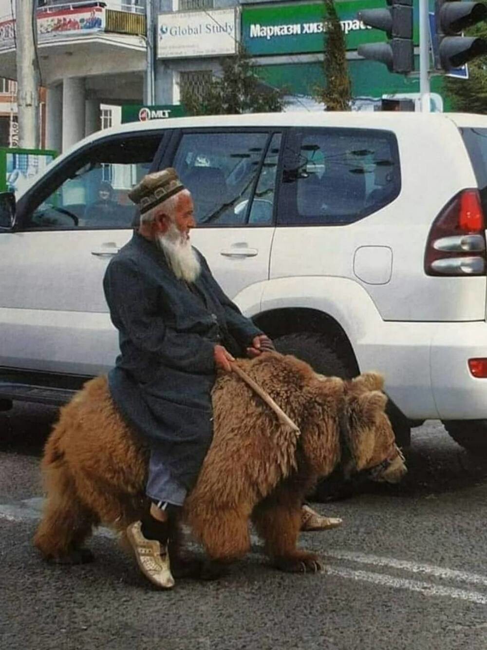 На общую тему 