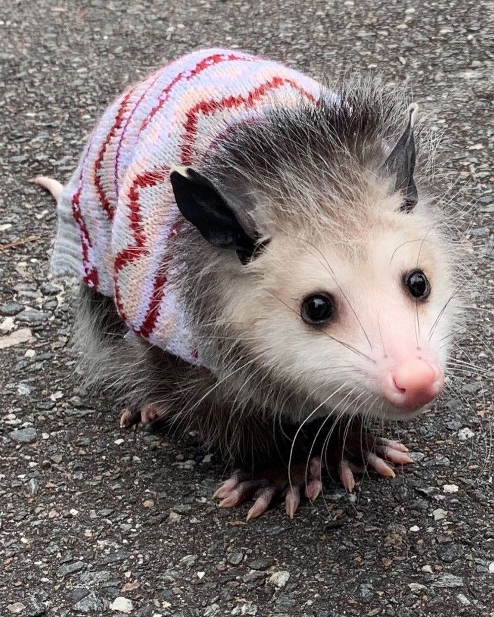 На общую тему 