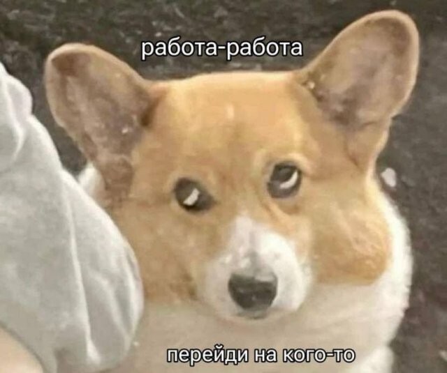 Скрины из соцсетей