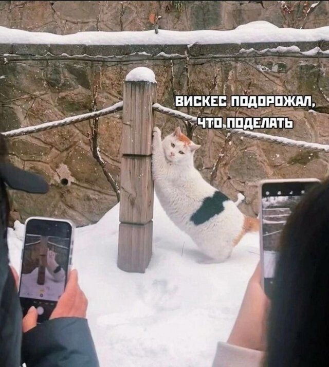 Скрины из соцсетей