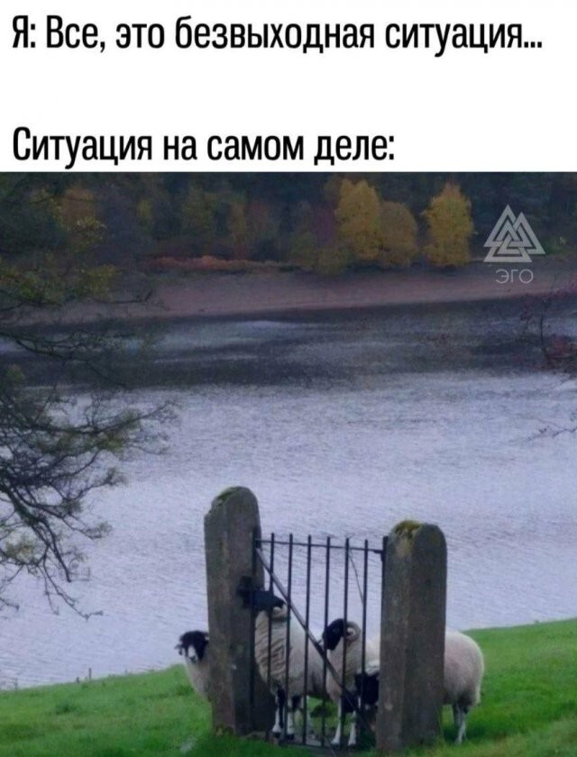 Скрины из соцсетей