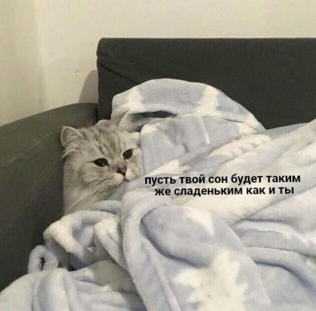 Скрины из соцсетей