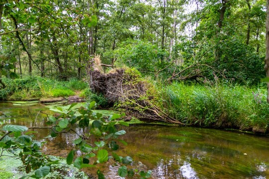 Топи Хокомок – место, где молчат духи