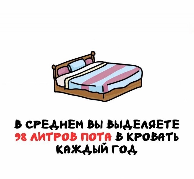 А вдруг ты не знал…