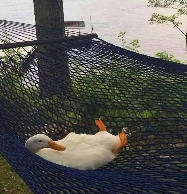 Намешалось