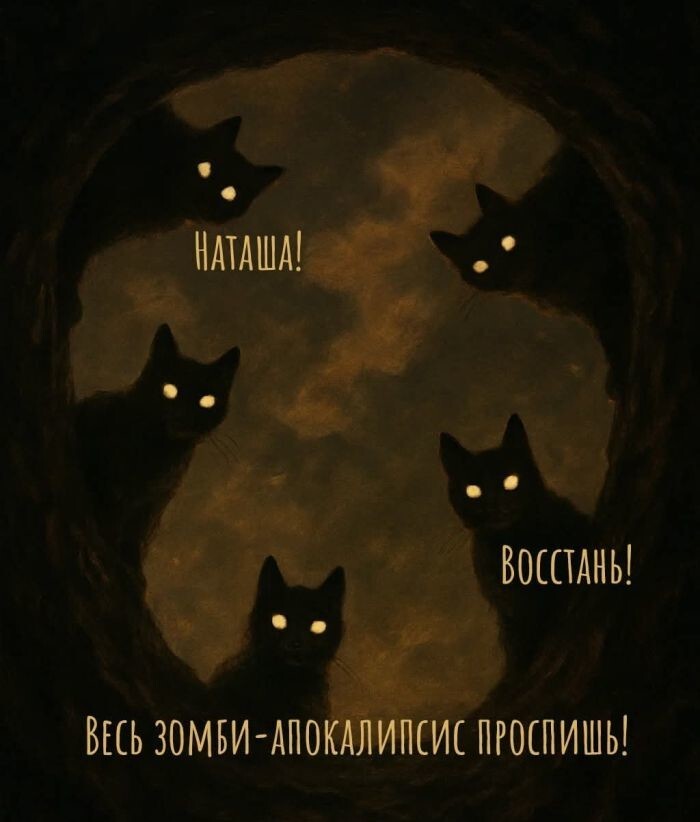 Не ищите здесь смысл. Здесь в основном маразм