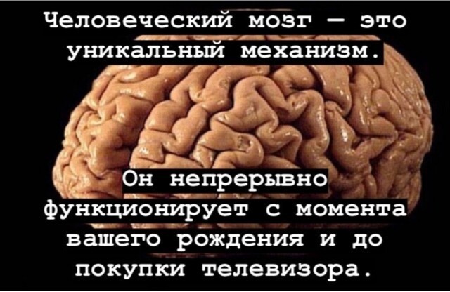 Не ищите здесь смысл. Здесь в основном маразм