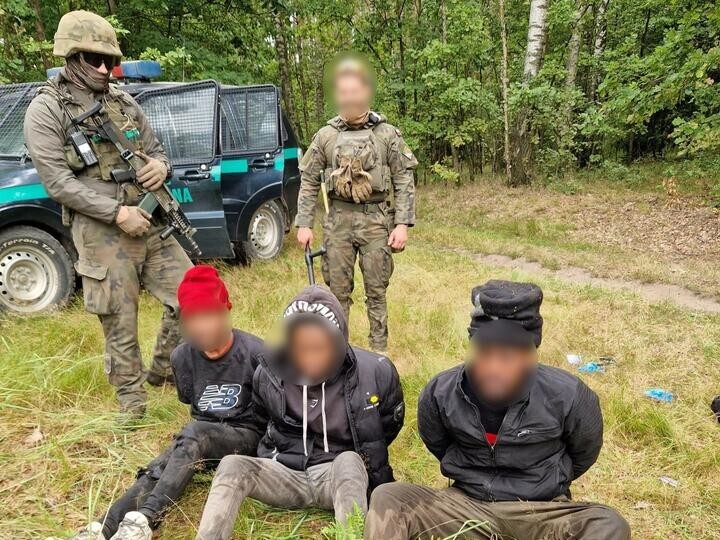 Мигранты пытались прорваться из Беларуси в Польшу с помощью кабинки биотуалета