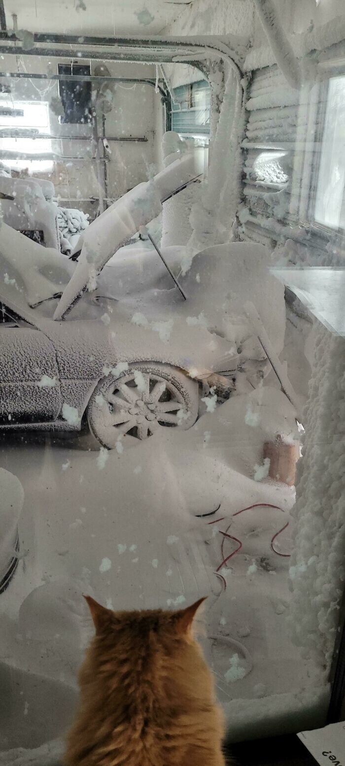12.Снежная буря сорвала дверь гаража
