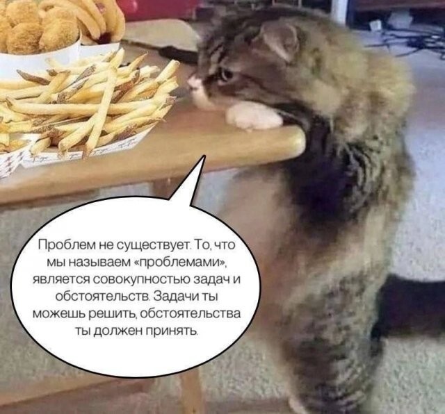 Скрины из соцсетей