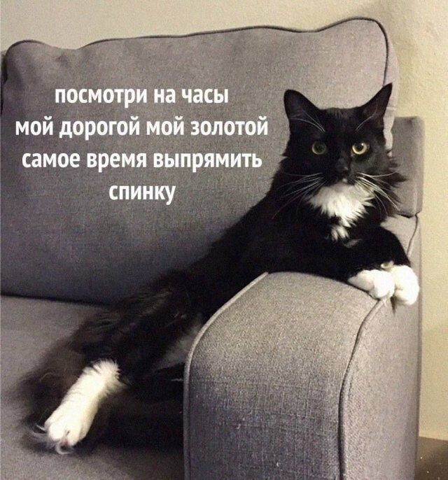 Скрины из соцсетей
