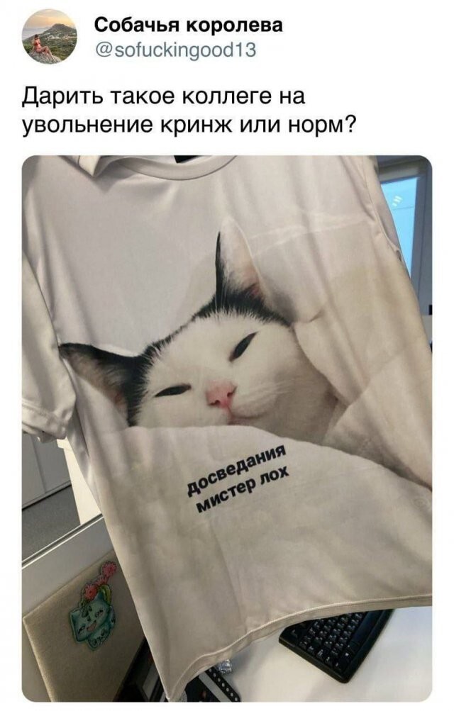Скрины из соцсетей