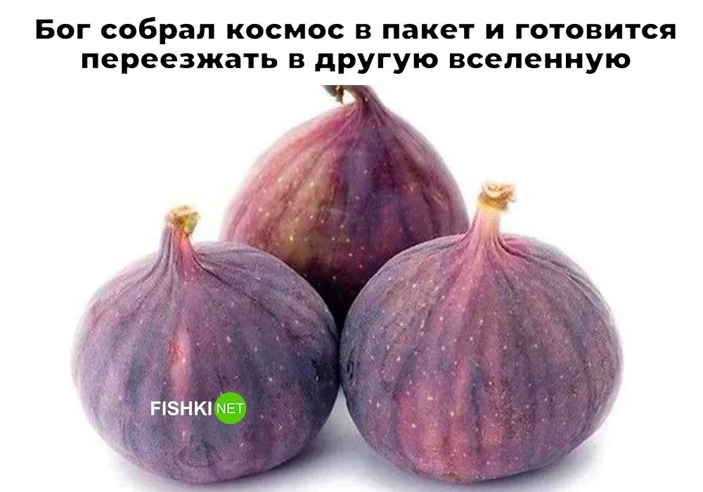 Скрины из соцсетей