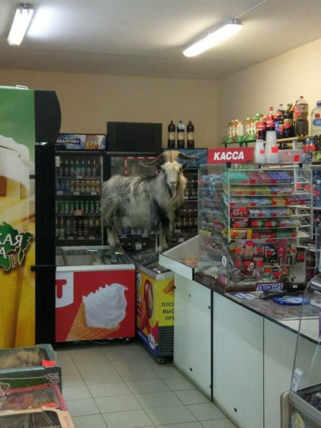 Намешалось