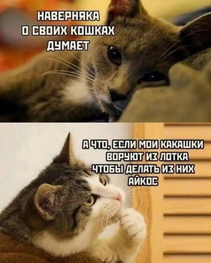 Не ищите здесь смысл. Здесь в основном маразм