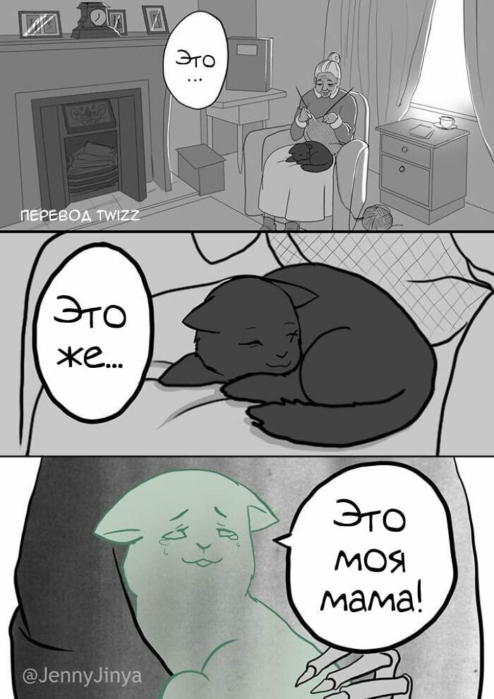 Кошка и смерть
