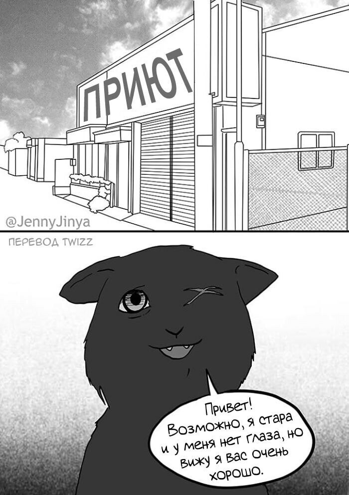 Кошка и смерть