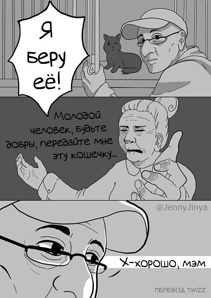 Кошка и смерть