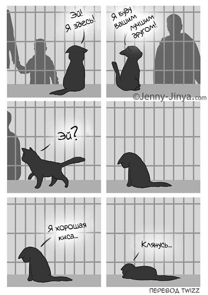 Кошка и смерть