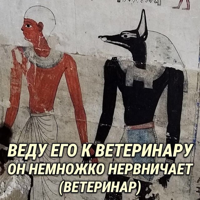 Скрины из соцсетей