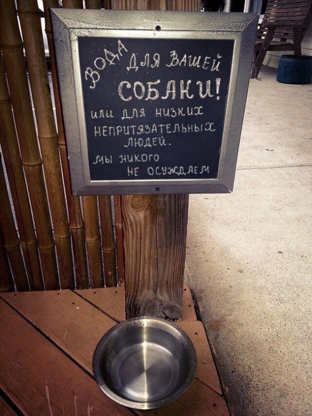 Скрины из соцсетей
