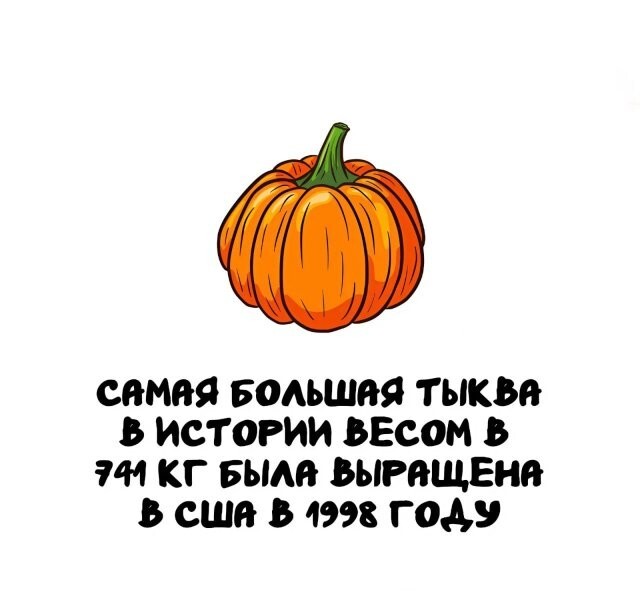 А вдруг ты не знал…