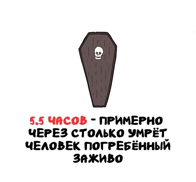 А вдруг ты не знал…