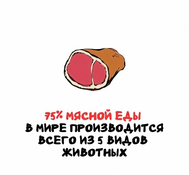 А вдруг ты не знал…
