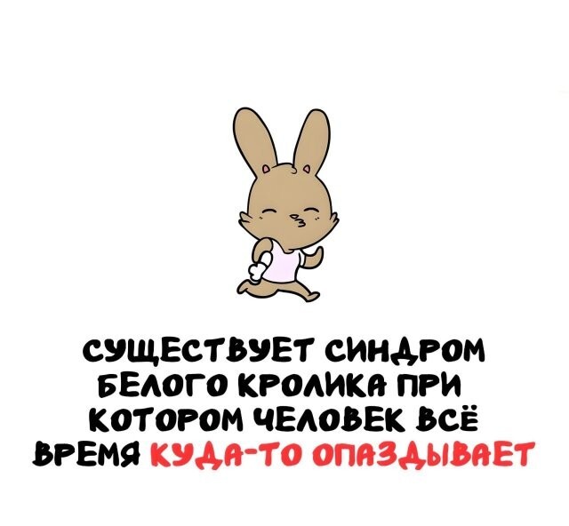 А вдруг ты не знал…