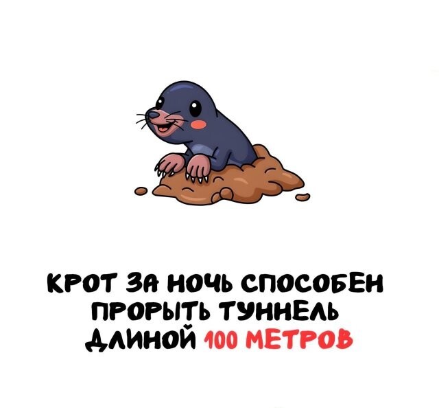 А вдруг ты не знал…