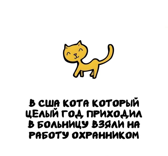 А вдруг ты не знал…