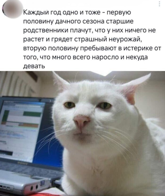 Не ищите здесь смысл. Здесь в основном маразм
