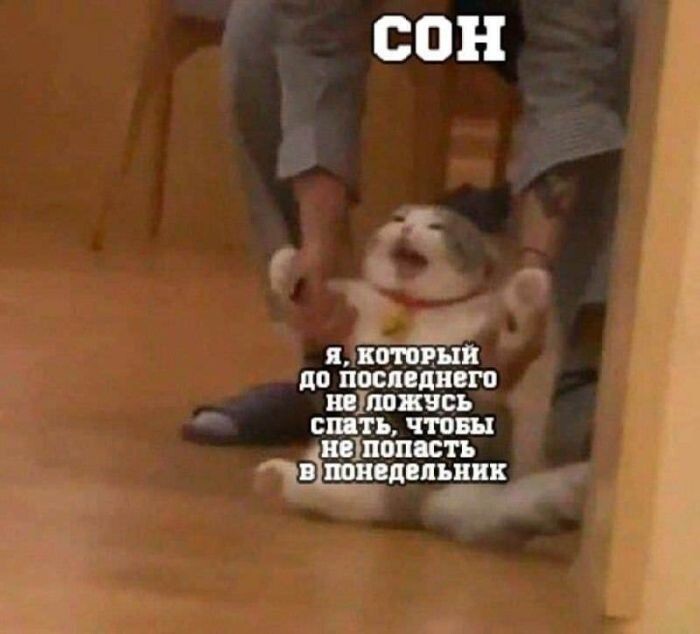 Не ищите здесь смысл. Здесь в основном маразм
