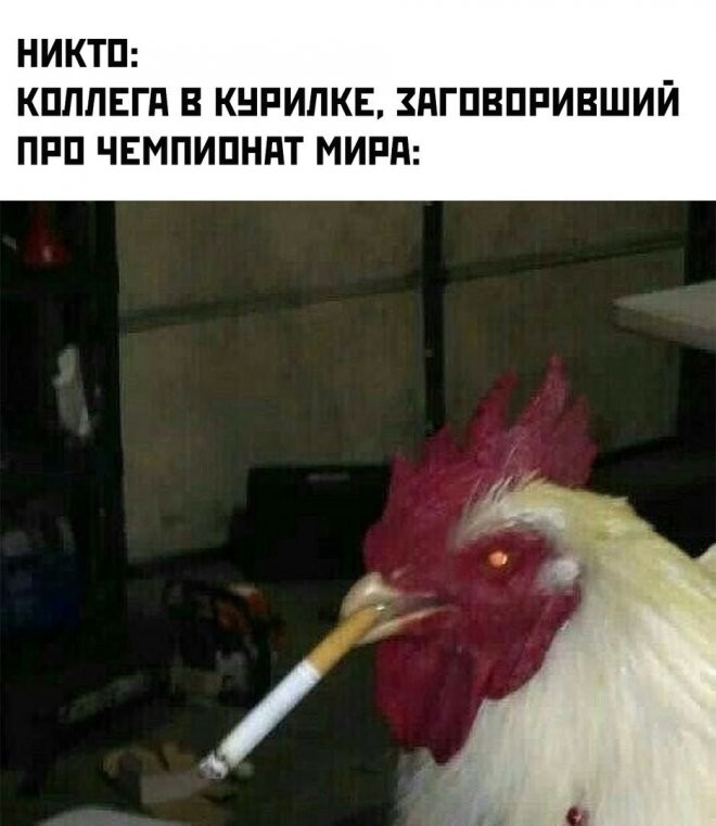 Не ищите здесь смысл. Здесь в основном маразм