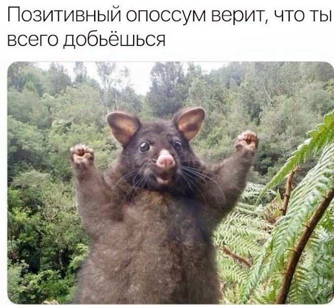 Не ищите здесь смысл. Здесь в основном маразм